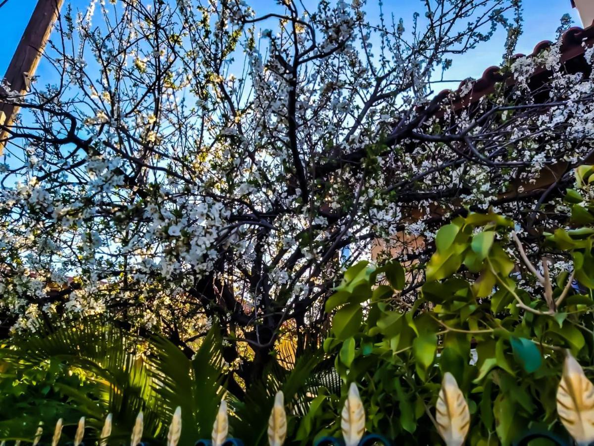 West Garden At Aigio By Greece Apartments 外观 照片