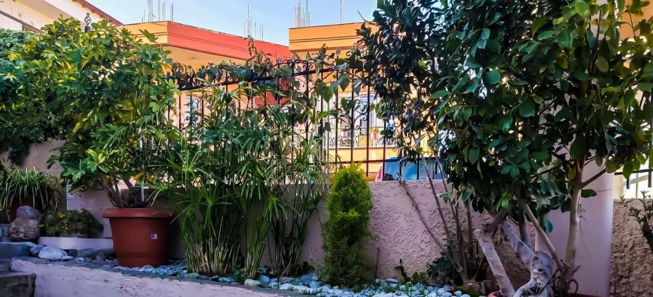 West Garden At Aigio By Greece Apartments 外观 照片