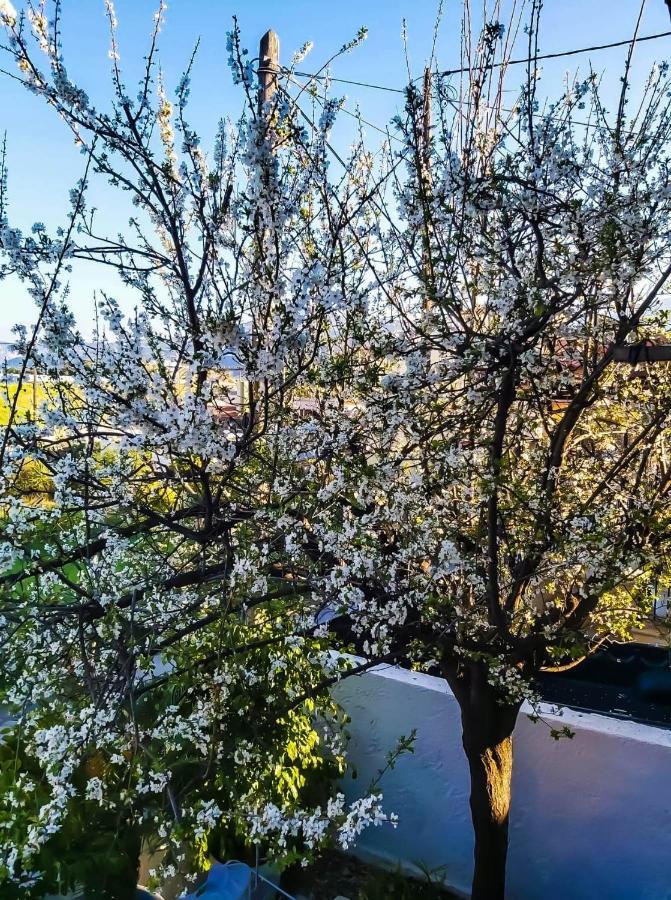 West Garden At Aigio By Greece Apartments 外观 照片
